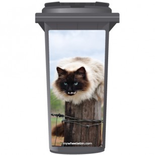 Barn Cat On A Post Wheelie Bin Sticker Panel